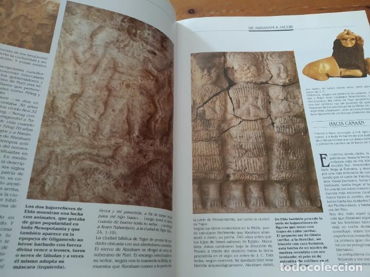 Y La Biblia Tenia Razon Epub