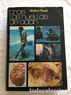 Libros de segunda mano: Tras las huellas de Adan - Foto 1