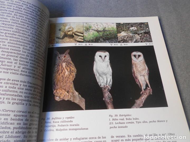 Libros de segunda mano: LA VALLTORTA - Foto 7