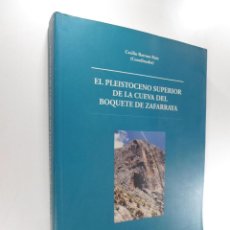 Libros de segunda mano: EL PLEISTOCENO SUPERIOR DE LA CUEVA DEL BOQUETE DE ZAFARRAYA BARROSO RUIZ, CECILIO : COORD.. Lote 263633425