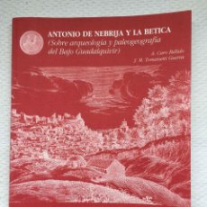 Libros de segunda mano: ANTONIO DE NEBRIJA Y LA BÉTICA (CARO Y TOMASSETTI, 1997), 1ª ED. ORIGINAL. Lote 320188108