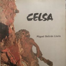 Libros de segunda mano: CELSA - MIGUEL BELTRÁN LLORÍS - DIPUTACIÓN GENERAL DE ARAGÓN - ZARAGOZA (1985).. Lote 320878013