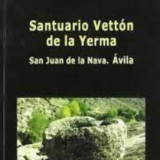 Libros de segunda mano: SANTUARIO VETTÓN DE LA YERMA SAN JUAN DE LA NAVA ÁVILA S BELMONTE LESEDUARTE Y DOS MÁS. Lote 341231433