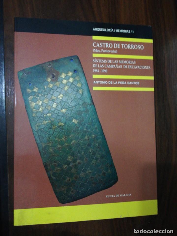 Libros de segunda mano: CASTRO DE TORROSO. DE LA PE&Ntilde;A SANTOS, ANTONIO. 1992 - Foto 1