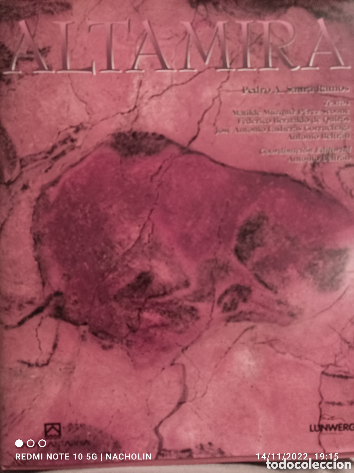 Libros de segunda mano: Altamira - Foto 1