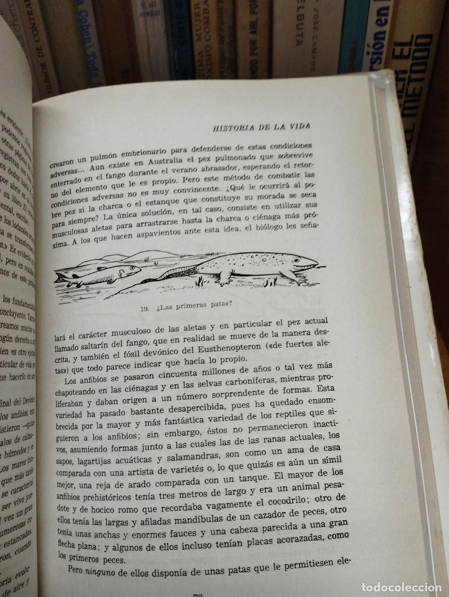Libros de segunda mano: H.E.L. Mellerersh. Historia de la vida. - Foto 2