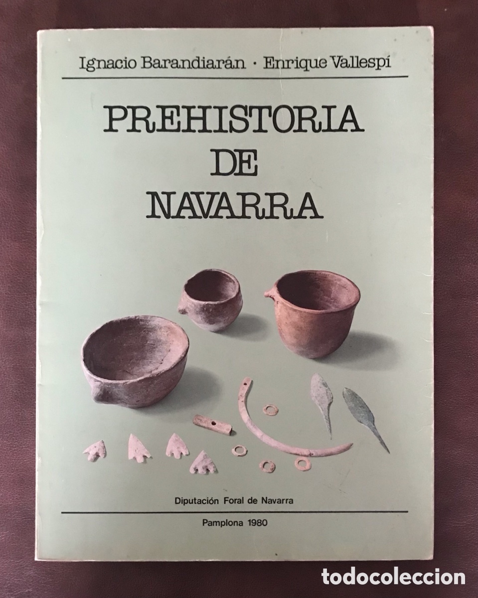 Libros de segunda mano: Prehistoria de Navarra. 1980. - Foto 1