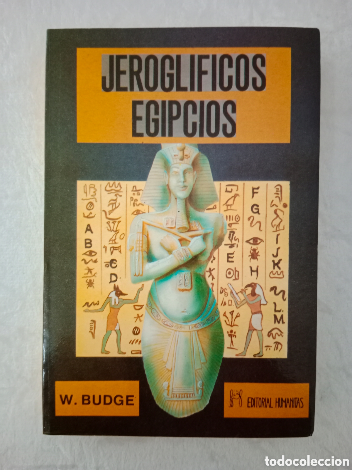 Libros de segunda mano: JEROGL&Iacute;FICOS EGIPCIOS , WALLIS BUDGE - Foto 1