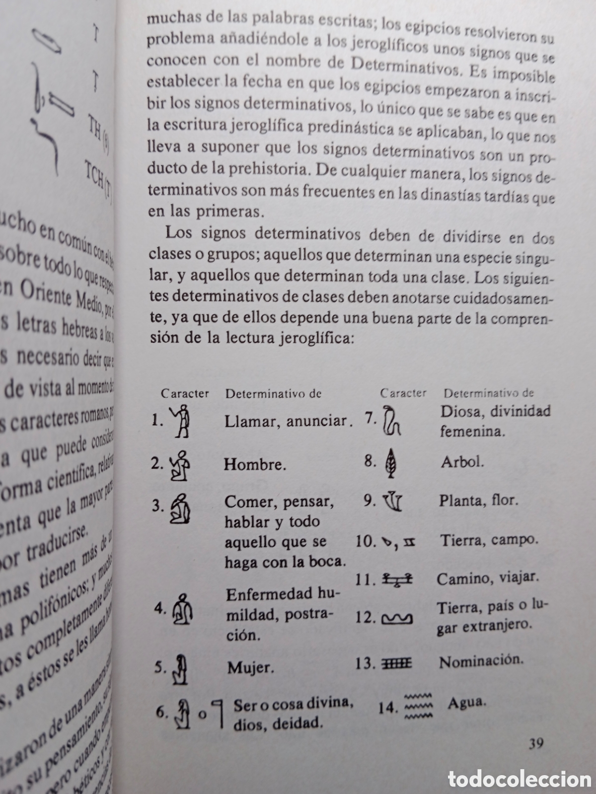 Libros de segunda mano: JEROGL&Iacute;FICOS EGIPCIOS , WALLIS BUDGE - Foto 6