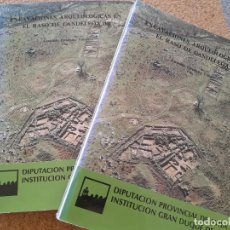 Libros de segunda mano: EXCAVACIONES ARQUEOLÓGICAS EN EL RASO DE CANDELEDA. TOMOS I Y II. FERNÁNDEZ GÓMEZ (FERNANDO)