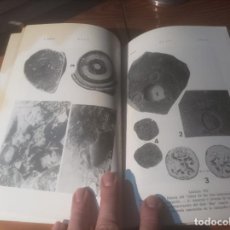Libros de segunda mano: LOS ASENTAMIENTOS HUMANOS SOBRE LOS ISLOTES COSTEROS DE MALLORCA . 1981 . ARQUEOLOGÍA