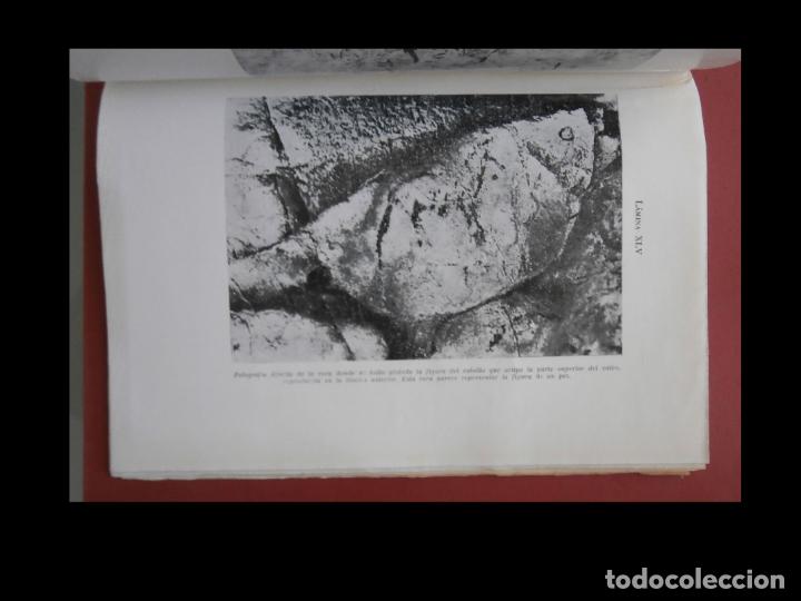 Libros de segunda mano: La caverna de las monedas y sus interesantes pinturas. - Foto 3