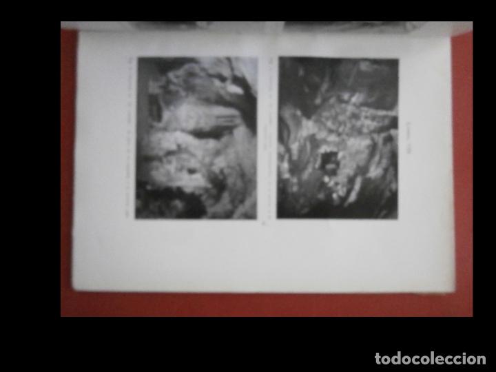 Libros de segunda mano: La caverna de las monedas y sus interesantes pinturas. - Foto 4
