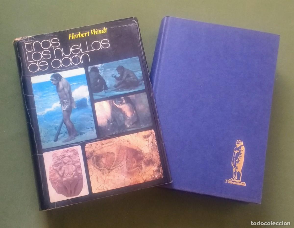 Libros de segunda mano: TRAS LAS HUELLAS DE ADAN - HERBERT WENDT - Foto 1