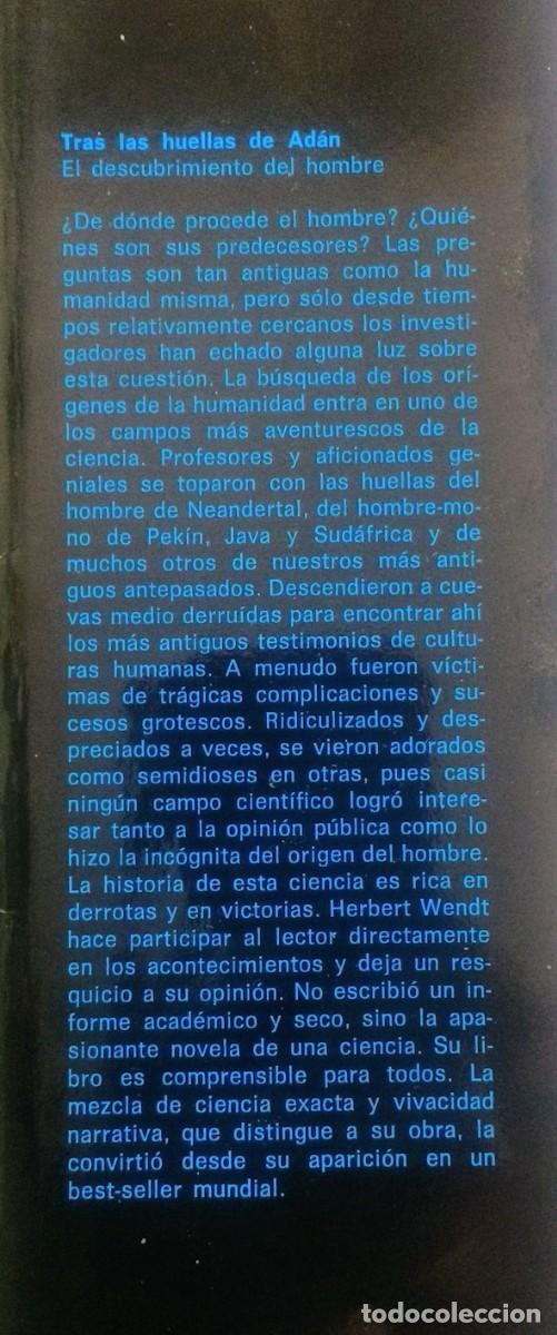 Libros de segunda mano: TRAS LAS HUELLAS DE ADAN - HERBERT WENDT - Foto 2