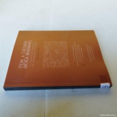 Libros de segunda mano: LA CARRETERA ROMANA DE ZARAGOZA A BEARN-ISAAC MORENO -GARA60-ITEM A CAESAREA AUGUSTA BENEHARNO