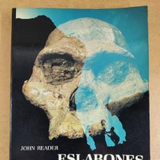 Libros de segunda mano: ESLABONES PERDIDOS. EN BUSCA DEL HOMBRE PRIMIGENIO / JOHN READER / 1981. FONDO EDUCATIVO...