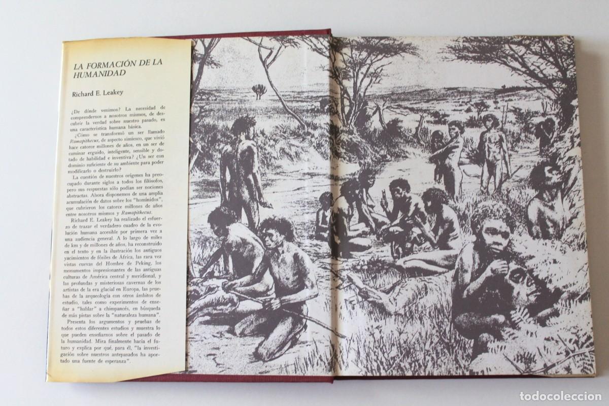 Libros de segunda mano: Richard E. Leakey - La formaci&oacute;n de la humanidad - Ediciones del Serbal - Foto 4