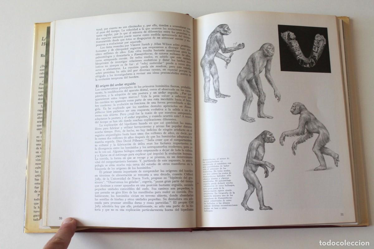 Libros de segunda mano: Richard E. Leakey - La formaci&oacute;n de la humanidad - Ediciones del Serbal - Foto 6