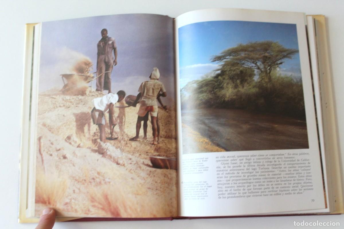 Libros de segunda mano: Richard E. Leakey - La formaci&oacute;n de la humanidad - Ediciones del Serbal - Foto 7
