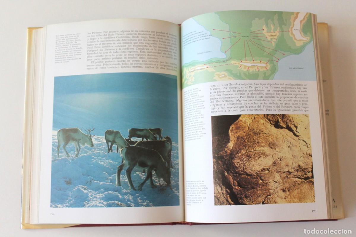 Libros de segunda mano: Richard E. Leakey - La formaci&oacute;n de la humanidad - Ediciones del Serbal - Foto 8