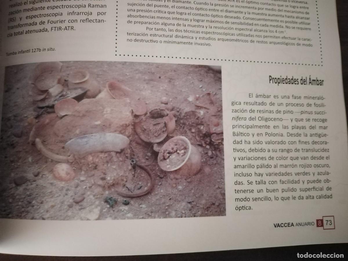 Libros de segunda mano: Vaccea. Anuario 2014. Arqueolog&iacute;a. - Foto 10