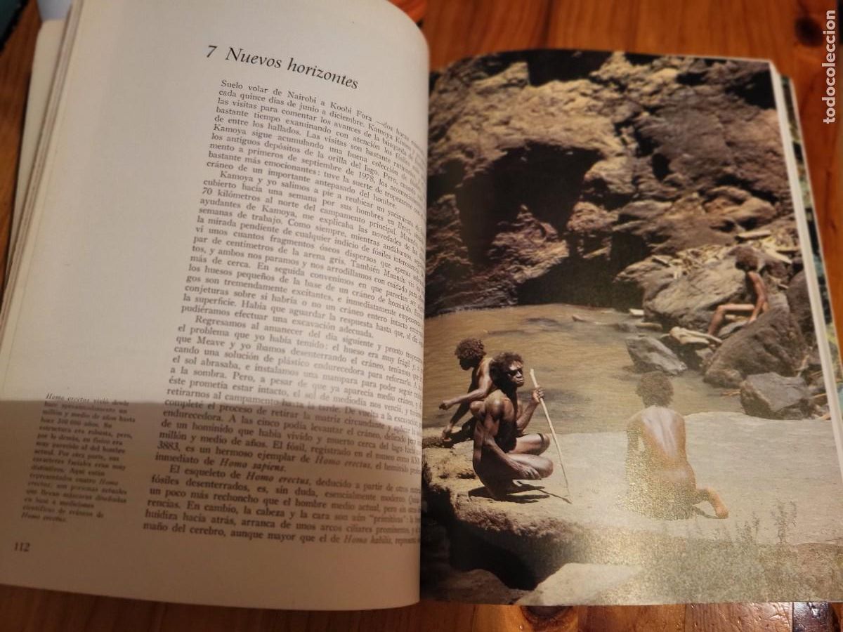 Libros de segunda mano: LA FORMACI&Oacute;N DE LA HUMANIDAD. RICHARD E.LEAKEY - Foto 3