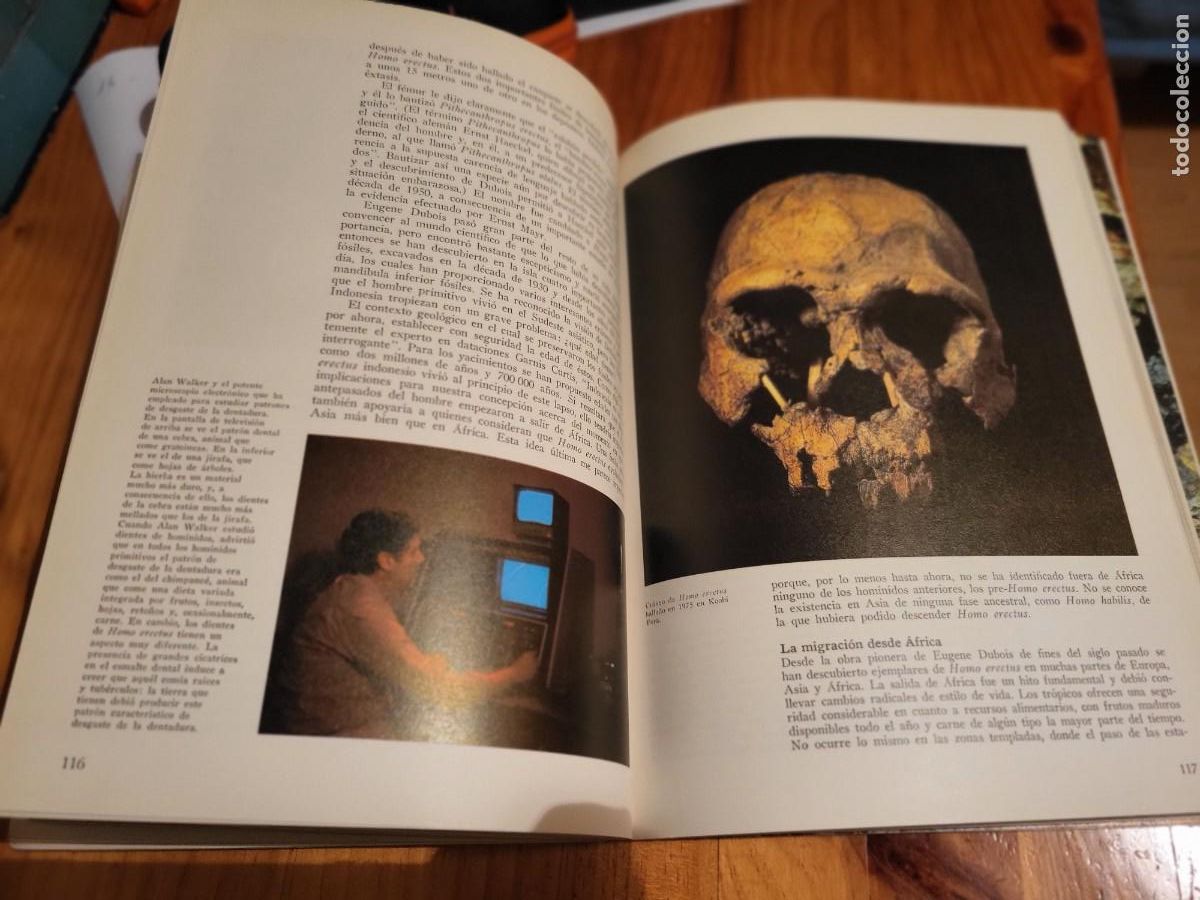 Libros de segunda mano: LA FORMACI&Oacute;N DE LA HUMANIDAD. RICHARD E.LEAKEY - Foto 4