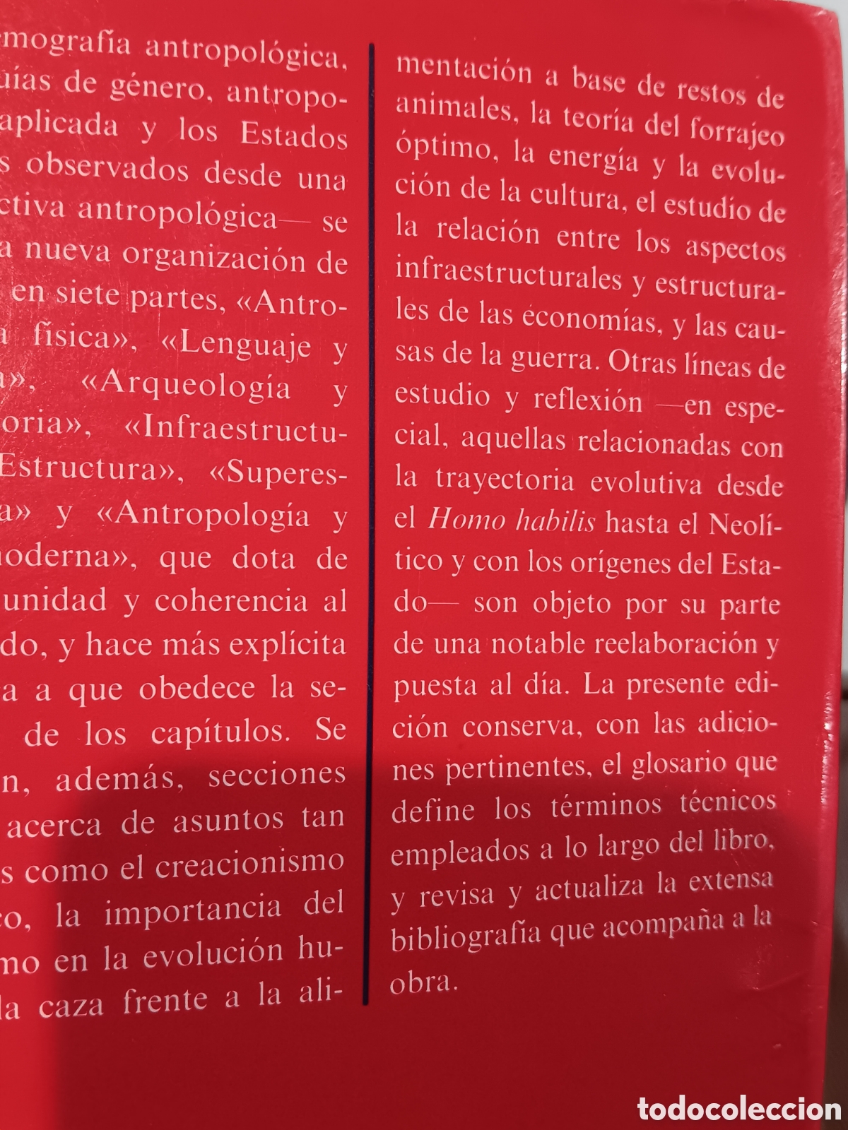 Libros de segunda mano: M. Harris. Introducci&oacute;n a la antropolog&iacute;a general - Foto 3