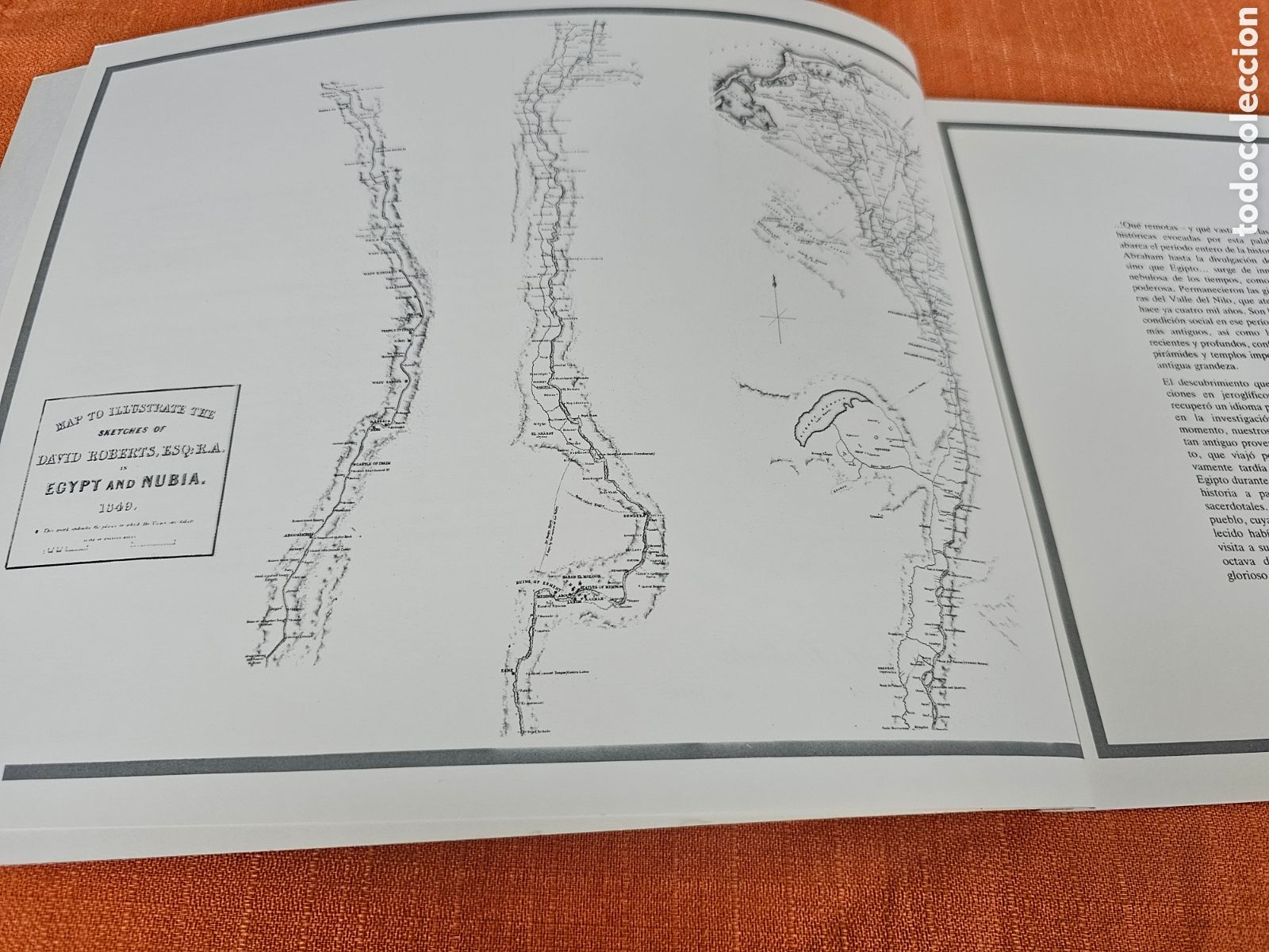 Libros de segunda mano: LOS TEMPLOS DE EGIPTO DIBUJOS DE DAVID ROBERTS 1839 - Foto 3