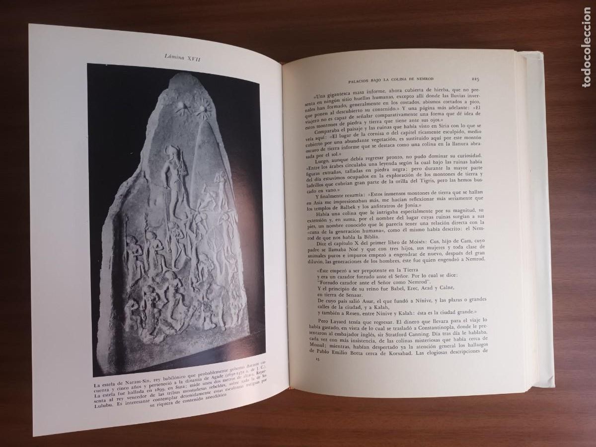 Libros de segunda mano: Dioses, tumbas y sabios --- C. W. Ceram - Foto 9