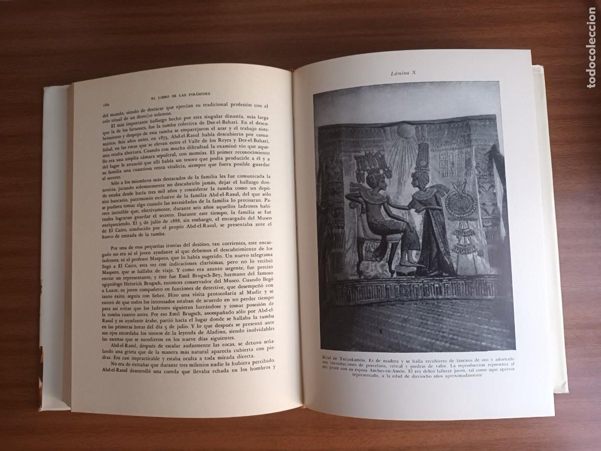 Libros de segunda mano: Dioses, tumbas y sabios --- C. W. Ceram - Foto 11