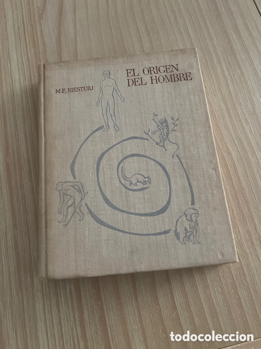 Libros de segunda mano: El origen del hombre - Foto 1