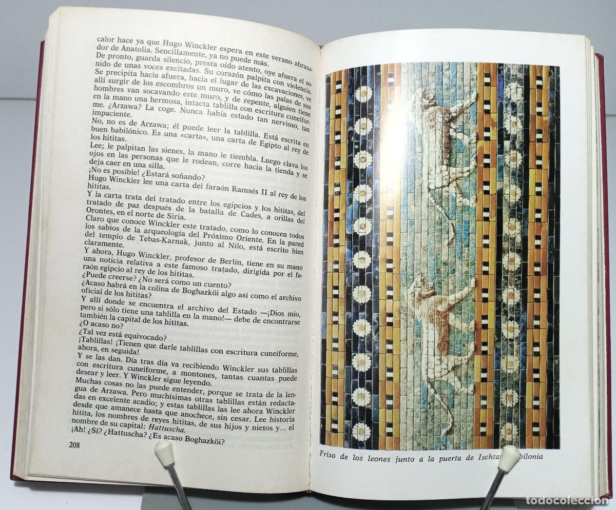 Libros de segunda mano: Las colinas biblicas - Zehren, Eric - Foto 2