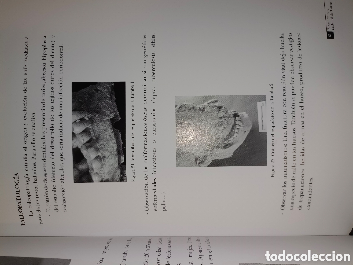Libros de segunda mano: Tauste en su Historia - Foto 4