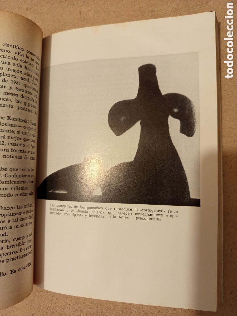 Libros de segunda mano: FLORES DE LUNA (PETER KOLOSIMO) - Foto 11
