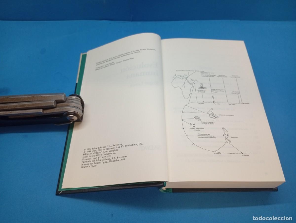 Libros de segunda mano: EVOLUCI&Oacute;N HUMANA.- ROGER LEWIN - Foto 3