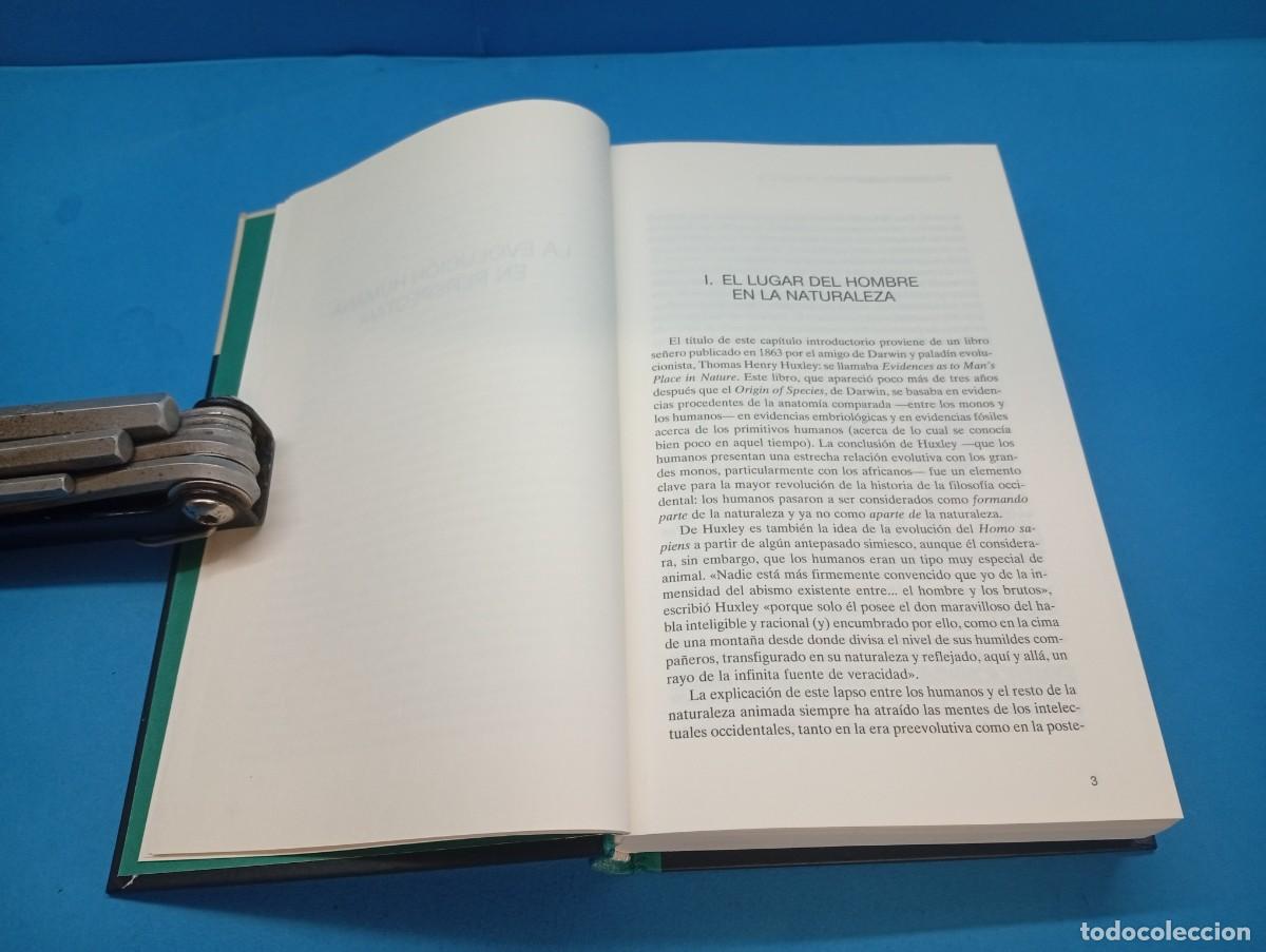Libros de segunda mano: EVOLUCI&Oacute;N HUMANA.- ROGER LEWIN - Foto 6