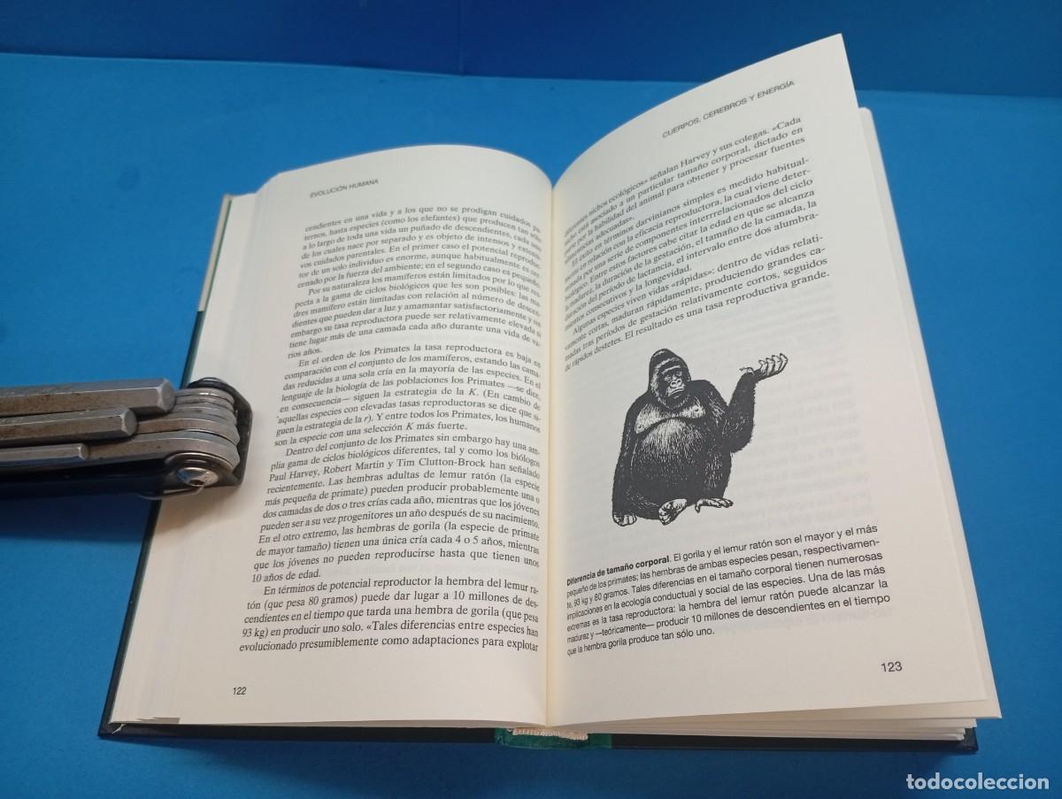 Libros de segunda mano: EVOLUCI&Oacute;N HUMANA.- ROGER LEWIN - Foto 8