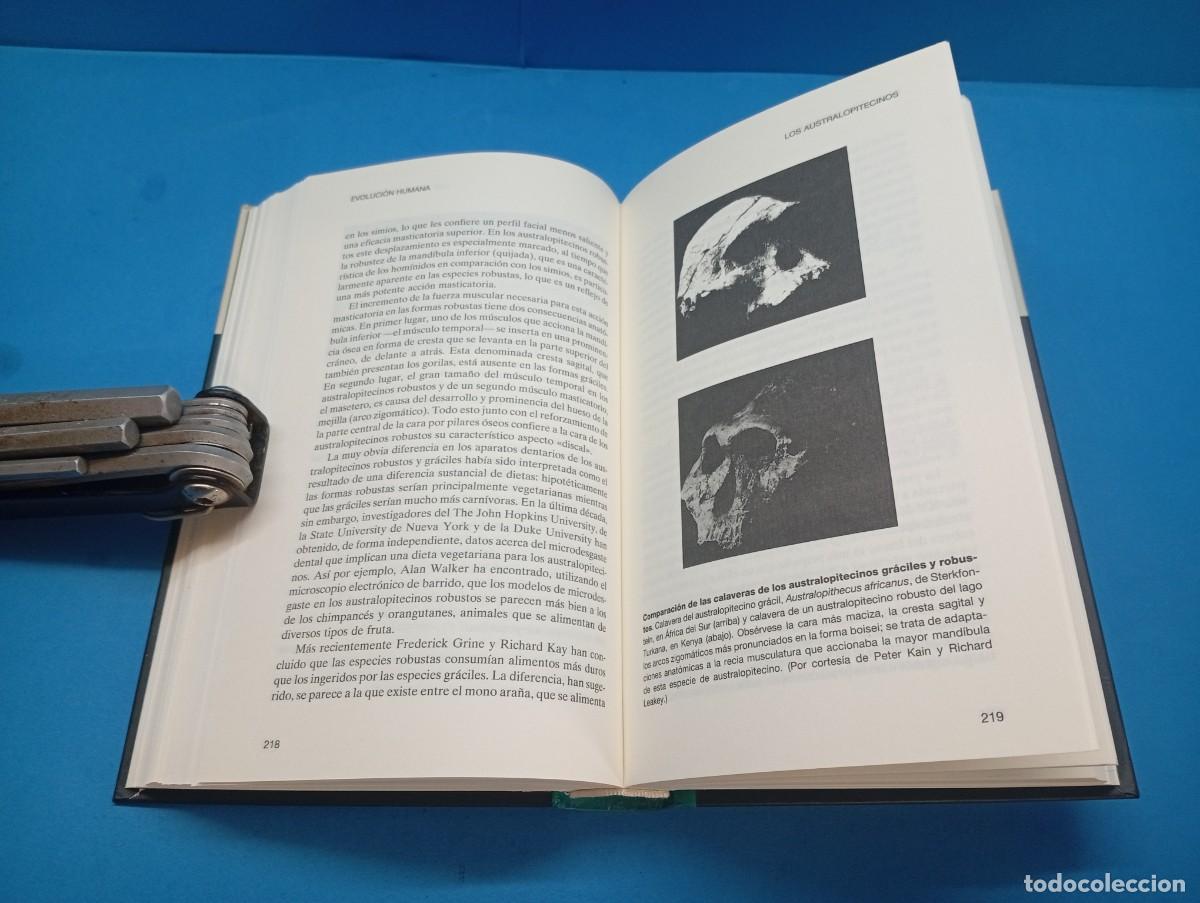 Libros de segunda mano: EVOLUCI&Oacute;N HUMANA.- ROGER LEWIN - Foto 9