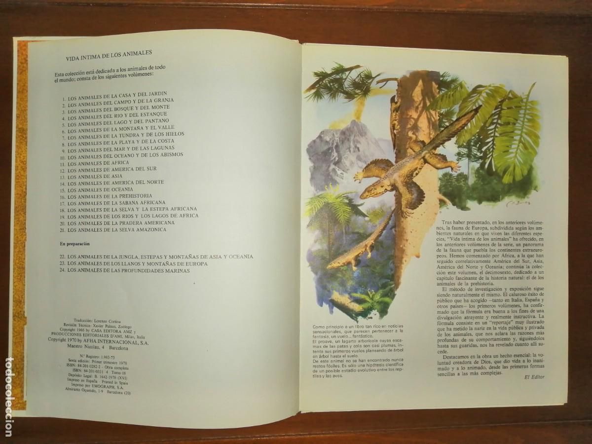 Libros de segunda mano: LIBRO VIDA &Iacute;NTIMA DE LOS ANIMALES DE LA PREHISTORIA - Foto 2