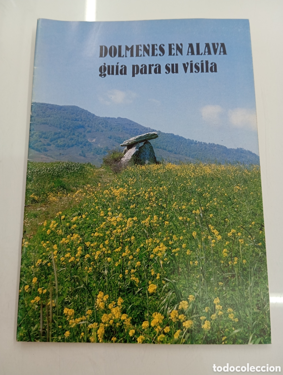 Libros de segunda mano: D&Oacute;LMENES EN &Aacute;LAVA. Gu&iacute;a para su visita. -J. Ignacio Vegas Aramburu- 1983. (Arqueolog&iacute;a) PAIS VASCO