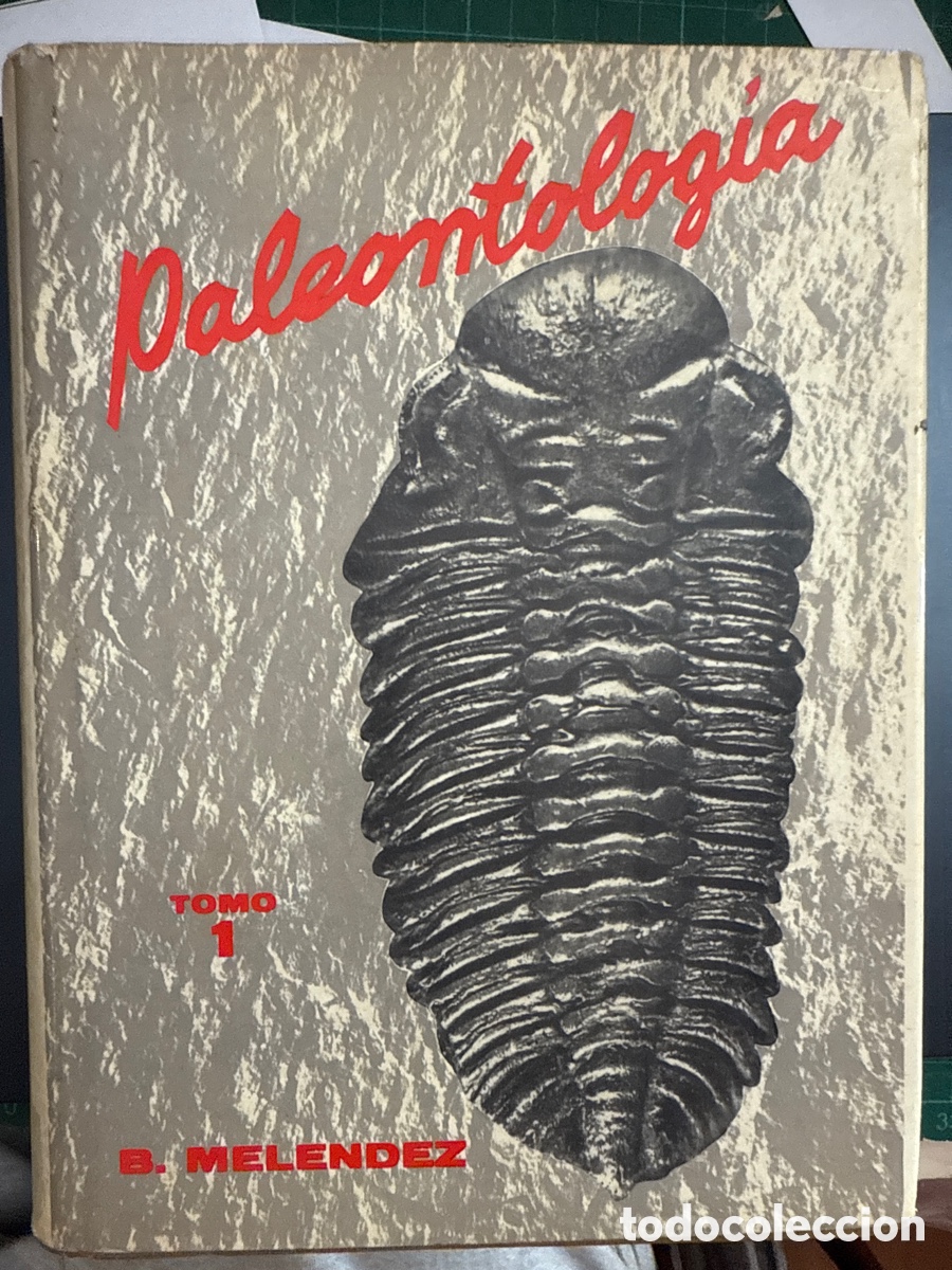 Libri di seconda mano: MEL&Eacute;NDEZ, Bermudo. Paleontolog&iacute;a. Tomo I: Parte general e invertebrados