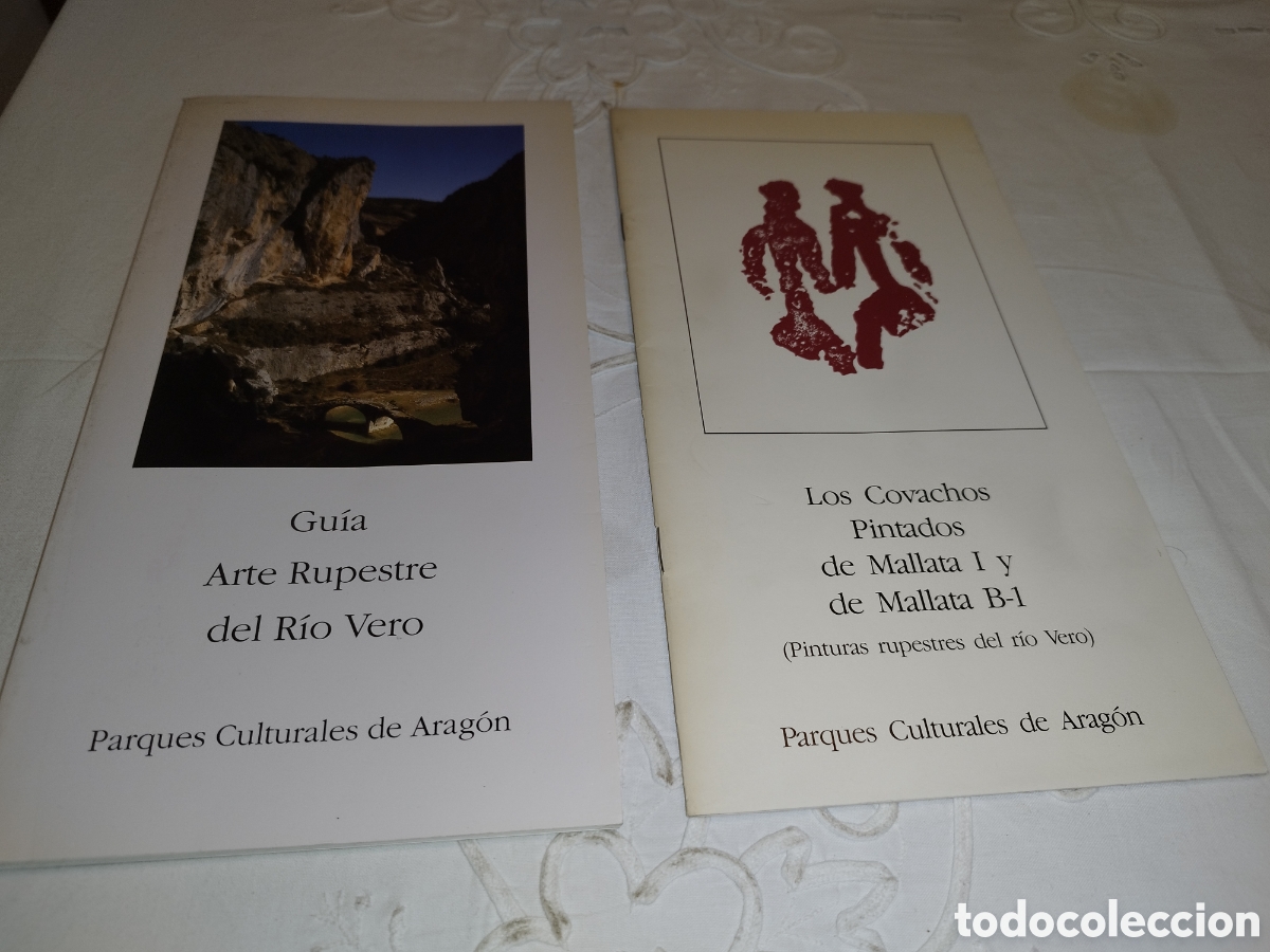 Libros de segunda mano: GUIA ARTE RUPESTRE DEL RIO VERO + LOS COVACHOS PINTADOS ... DGA, 1991 1&ordf; ED. ILUSTRADO