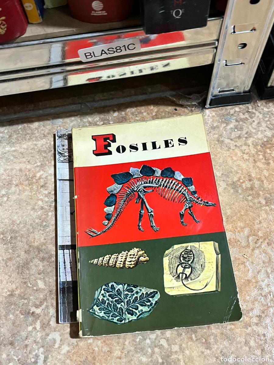 Libros de segunda mano: BLAS81C &ndash; F&oacute;siles (obra divulgativa ilustrada).