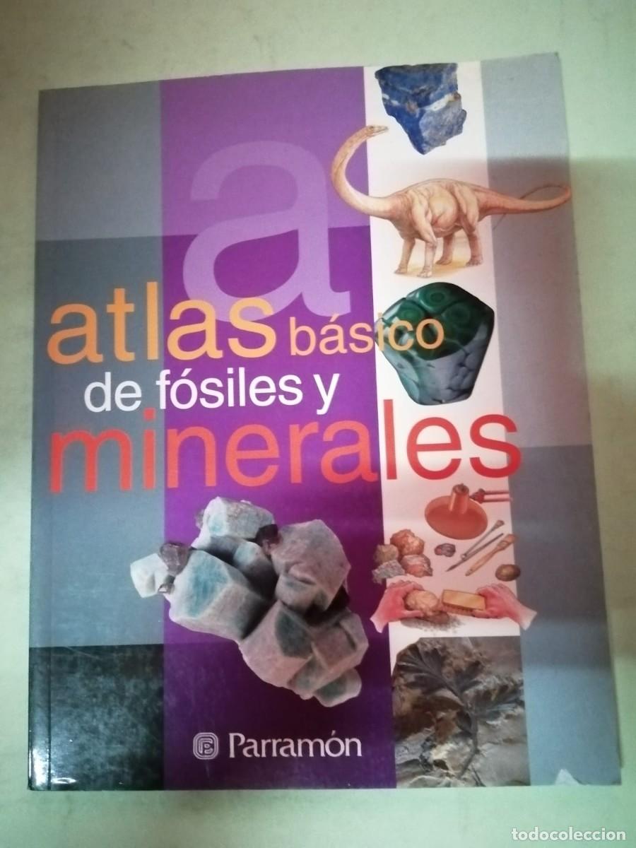 Libros de segunda mano: ATLAS BASICO DE FOSILES Y MINERALES (EDITORIAL PARRAMON)
