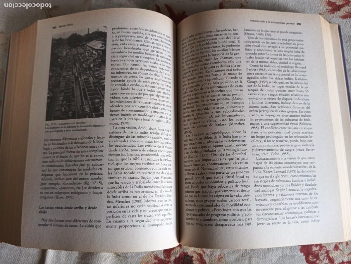 Libros de segunda mano: INTRODUCCI&Oacute;N A LA ANTROPOLOG&Iacute;A GENERAL.-MARVIN HARRIS. - Foto 7