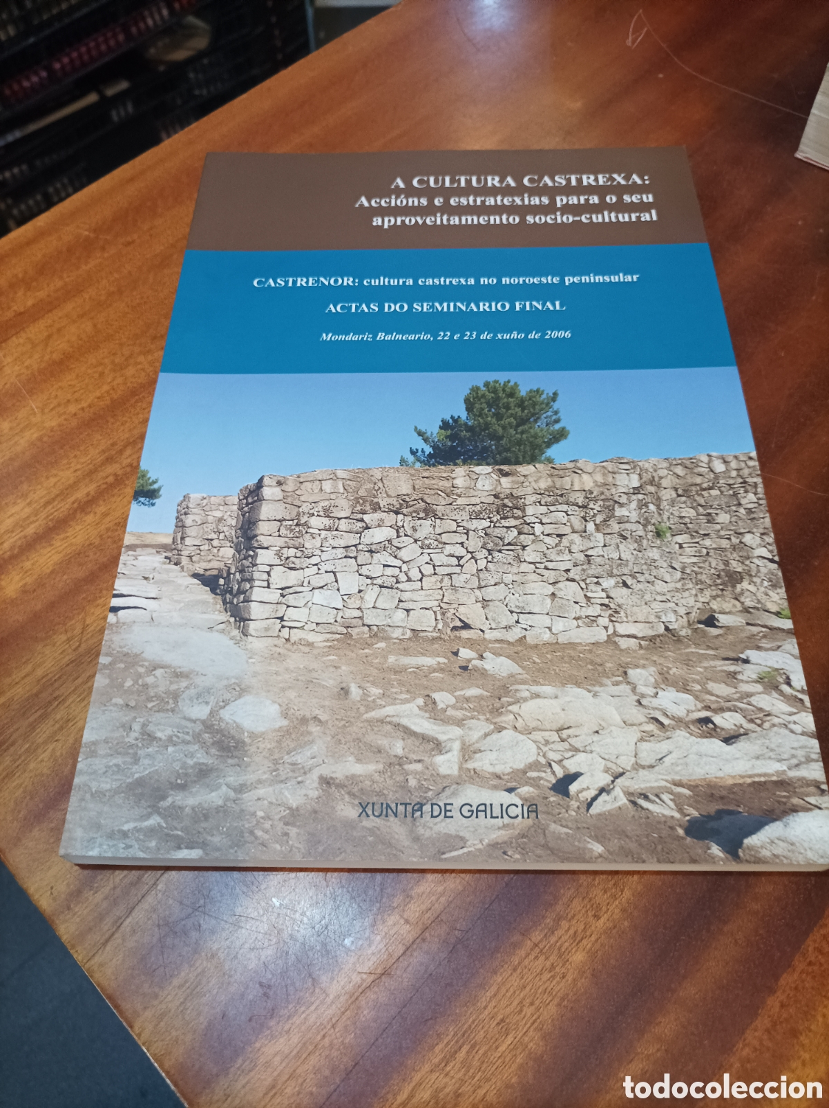 Libros de segunda mano: A CULTURA CASTREXA :ACCIONS E ESTRATEXIAS PARA O SEU APROVEITAMENTO SOCIO-CULTURAL.XUNTA DE GALICIA