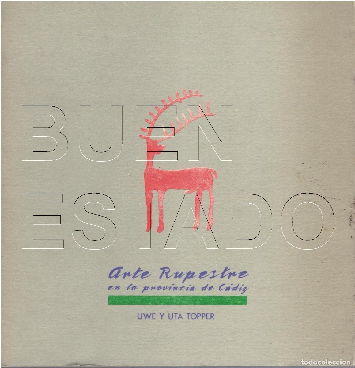Libros de segunda mano: ARTE RUPESTRE EN LA PROVINCIA DE CADIZ UWE Y UTA TOPPER 271 PG CM8