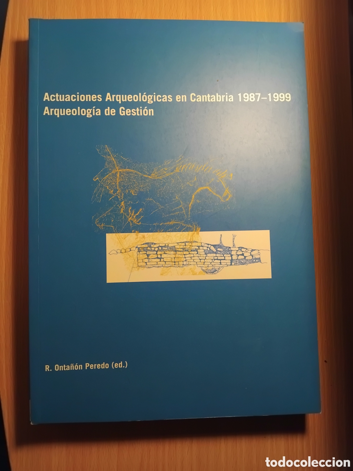 Libros de segunda mano: Actuaciones arqueol&oacute;gicas en Cantabria 1987-1999;R,Onta&ntilde;&oacute;n Peredo(ed.);Gobierno de Cantabria;2002